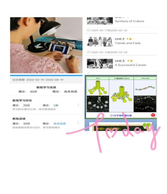 以觀摩促教學_共享云端智慧——伊春職業(yè)學院第一次線上教學觀摩課 以觀摩促教學_共享云端智慧——伊春職業(yè)學院第一次線上教學觀摩課