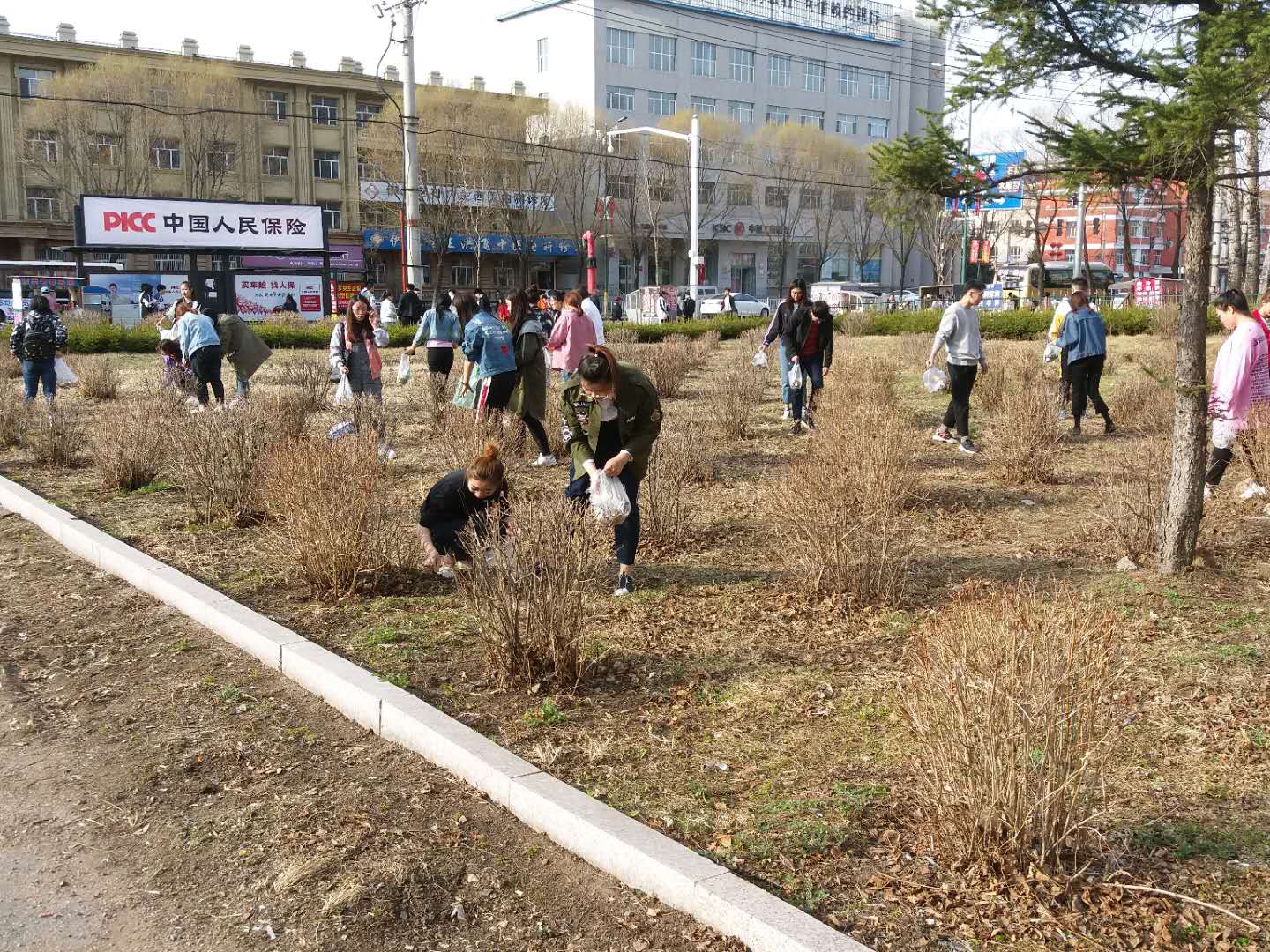 我院組織學(xué)生黨員、入黨積極分子開(kāi)展義務(wù)勞動(dòng)