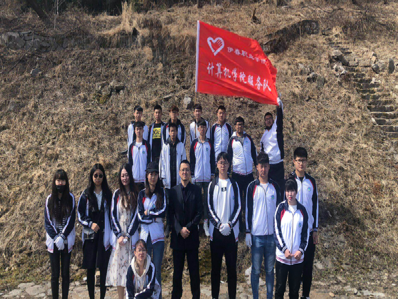 大學(xué)生志愿者活動(dòng) 大學(xué)生志愿者活動(dòng)